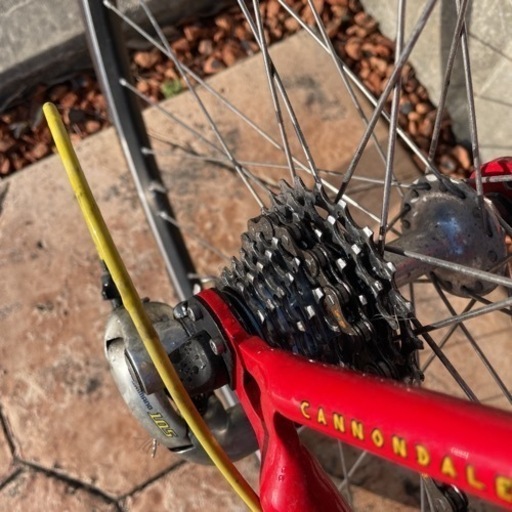 Cannondale saeco
