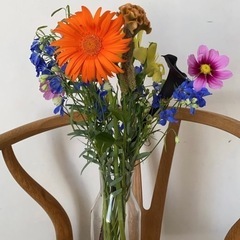 お庭のお花譲ってください🌷の画像