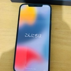 IPHONE 12 PRO MAX 256gb SIMフリー