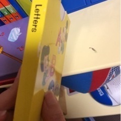 ディズニー英語システム MTDSGパッケージ