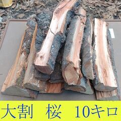 【引き取り限定】希少 桜 35cm 10キロ 900円 乾燥薪 ...