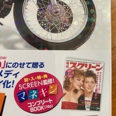 マネキン　レア物入手困難ブルーレイ