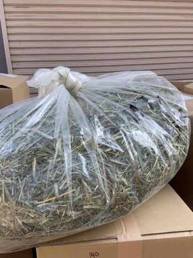 うさぎ モルモットの牧草チモシー500gよりお好きな量をお引き取り限定 あずき 豊中のその他の中古あげます 譲ります ジモティーで不用品の処分