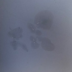 卓球台 三英 IS-1