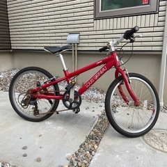 【ネット決済】ルイガノ　子供用自転車　20インチ