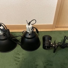 【ネット決済】ライトドーム18cm　エキゾテラ　ライトソケット　...