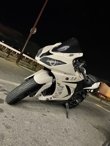 ninja250r zx6r顔　街乗りやサーキットにどうぞ