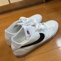 NIKE スニーカー　30cm