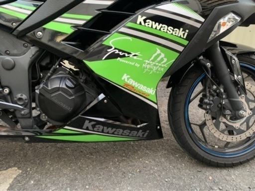 KAWASAKI Ninja カワサキ ニンジャ 250cc JBK-EX250L バイク ライム