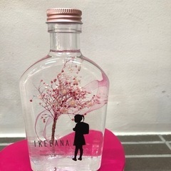 ハーバリウム　一本桜