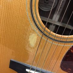 Guild　アコースティックギター　D-50