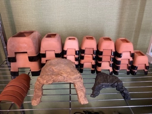 爬虫類用品いろいろ