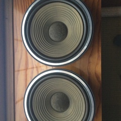 Technics. Woofer. EAS-30PL34S