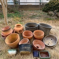 🈚️陶器の植木鉢、まとめて無料で差し上げます！
