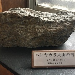 ハワイ 火山の石