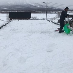 ハウスクリーニング・除雪・屋根雪下ろし・草刈りetcやります。