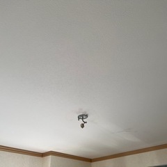 クロスコーティング　壁紙再生工事