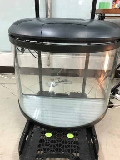 取引場所　南観音　K 2201-361  水槽　ペット　魚