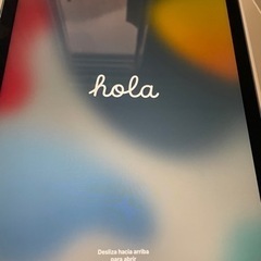1月29日迄　iPad Air4 64GB スカイブルー