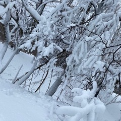 スノボー仲間募集中❗️