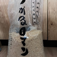 アイガモ農法米 つがるロマン 完全無農薬栽培 玄米 