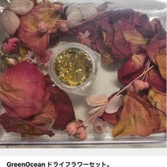 Green Ocean ドライフラワーセット♡