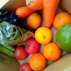 全て沖縄産の野菜とフルーツを格安販売します！