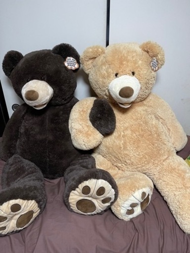 巨大クマぬいぐるみ