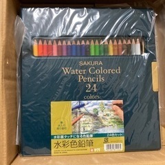 サクラ　水彩色鉛筆
