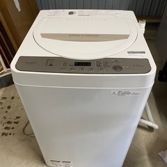 【決定】【中古品】SHARP 5.5kg洗濯機 2017年製