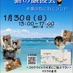 葉山町ねこねこランド保護猫譲渡会のお知らせ