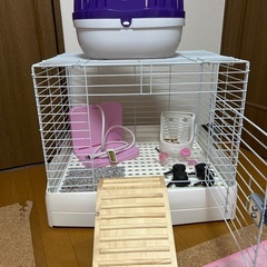 うさぎ　飼育セット　ゲージ