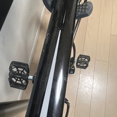 Bianchi ARIA 44インチ　シマノ105