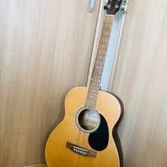【予定者決定】6弦　アコースティックギター