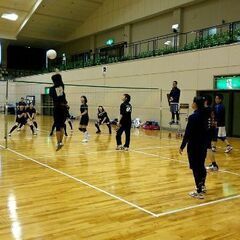 🏐ミニバレーボール　メンバー募集😊 - 長岡京市