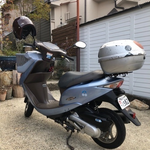 DIOチェスタaf68
