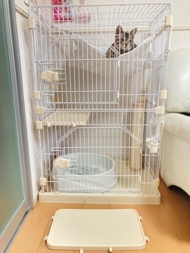 猫 2段ケージ 爪とぎ/ハンモック付き 新古品 www.inversionesczhn.com