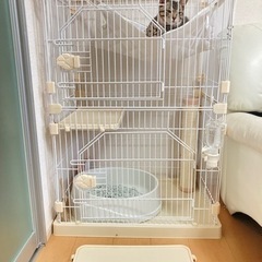 猫 2段ケージ 爪とぎ/ハンモック付き 新古品