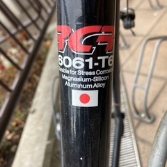 アラヤ　エクセラ