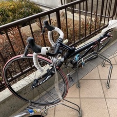 アラヤ　エクセラ