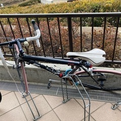 アラヤ　エクセラ