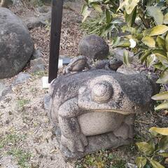 石灯籠　蛙　カエル　庭園　日本庭園