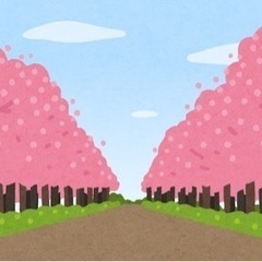 桜🌸を観に行きませんか