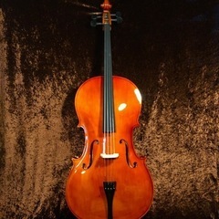 チェロ　Altezza アルテッツァ　No.45 4/4 新品 チェロ Altezza アルテッツァ No.45 4/4 Yahoo!オークション