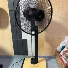 本田美奈子CMバブル扇風機