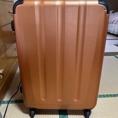 エースのスーツケース