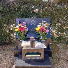 さいたま市営霊園（思い出の里）のお墓参りを１０００円で代行します。お彼岸R４年３月１８日限定の画像