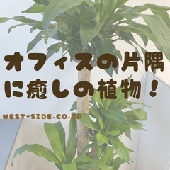 試用期間後は月収25万～◎支店長候補募集！神奈川！