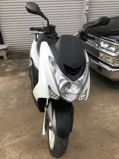 マジェスティS 155