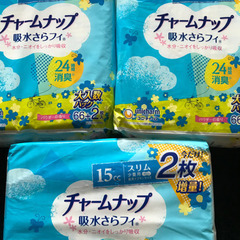 4点セット♪チャームナップ　15cc 66枚＋2枚　尿失禁パット